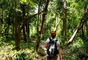 Đến Quảng Bình để biết thiên nhiên Việt Nam đẹp xuất sắc thế nào!