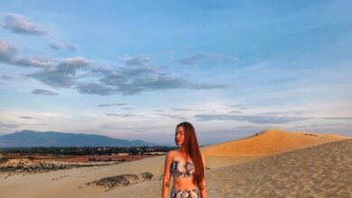 Kinh nghiệm du lịch Quảng Bình tự túc đầy đủ và chi tiết nhất