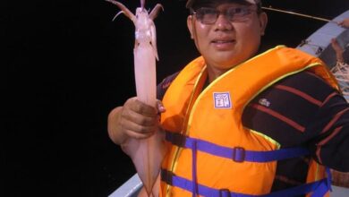 Thành quả câu mực là đây