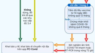 Hướng dẫn du lịch Quảng Bình bằng đường bộ