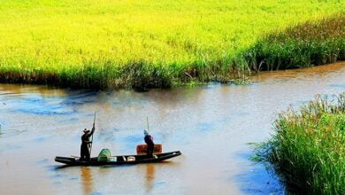 Phá Hạc Hải - Review Quảng Bình