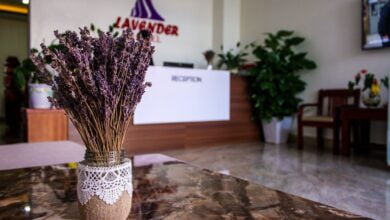 Sãnh Lễ Tân Lavender hotel